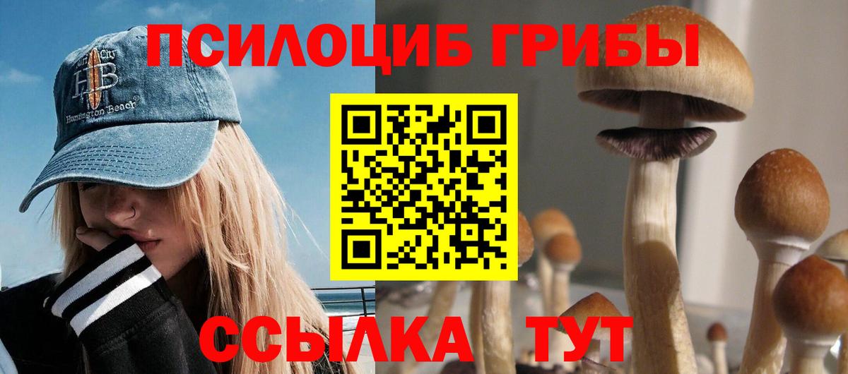 Псилоцибиновые грибы GOLDEN TEACHER Люберцы